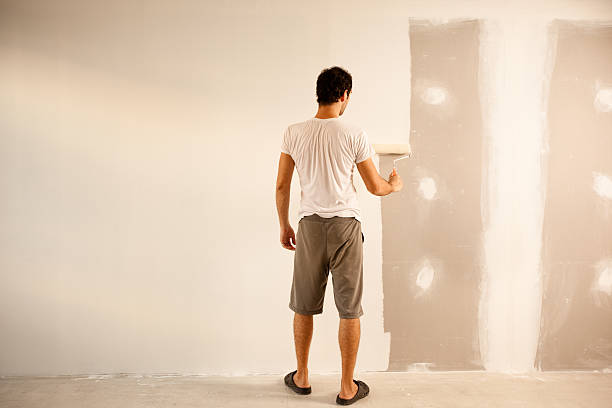 Professional Drywall and Painting Service in Dunlap, IL